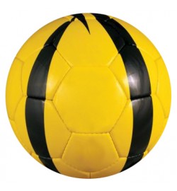 Training Ball